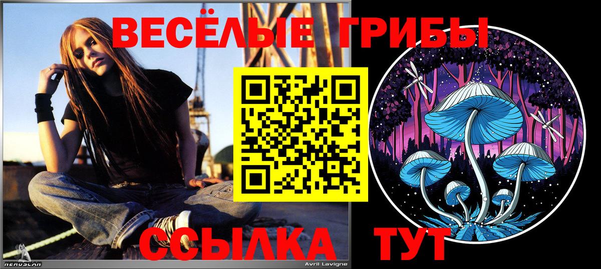Псилоцибиновые грибы Magic Shrooms  Галлюциногенные грибы Cubensis  Вход с VPN  Нефтекумск 