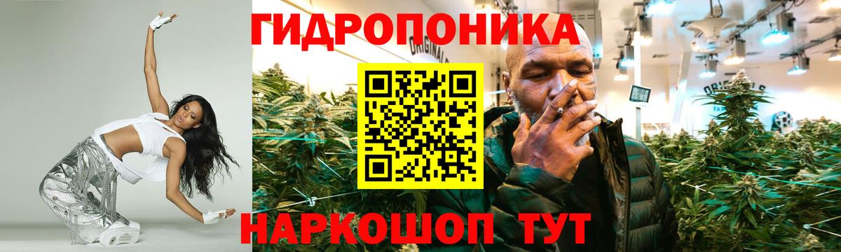 Канабис сатива Нефтекумск