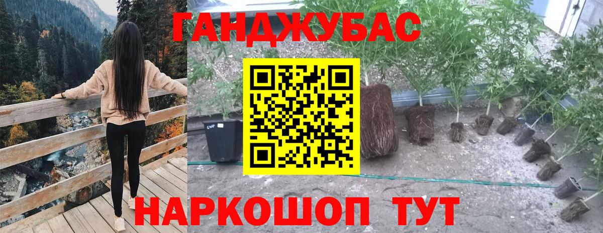 Нефтекумск  Шишки марихуана Amnesia  Конопля ГИДРОПОН  Конопля индика  Конопля AK-47  Вход с VPN 